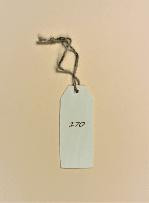 Maat 170